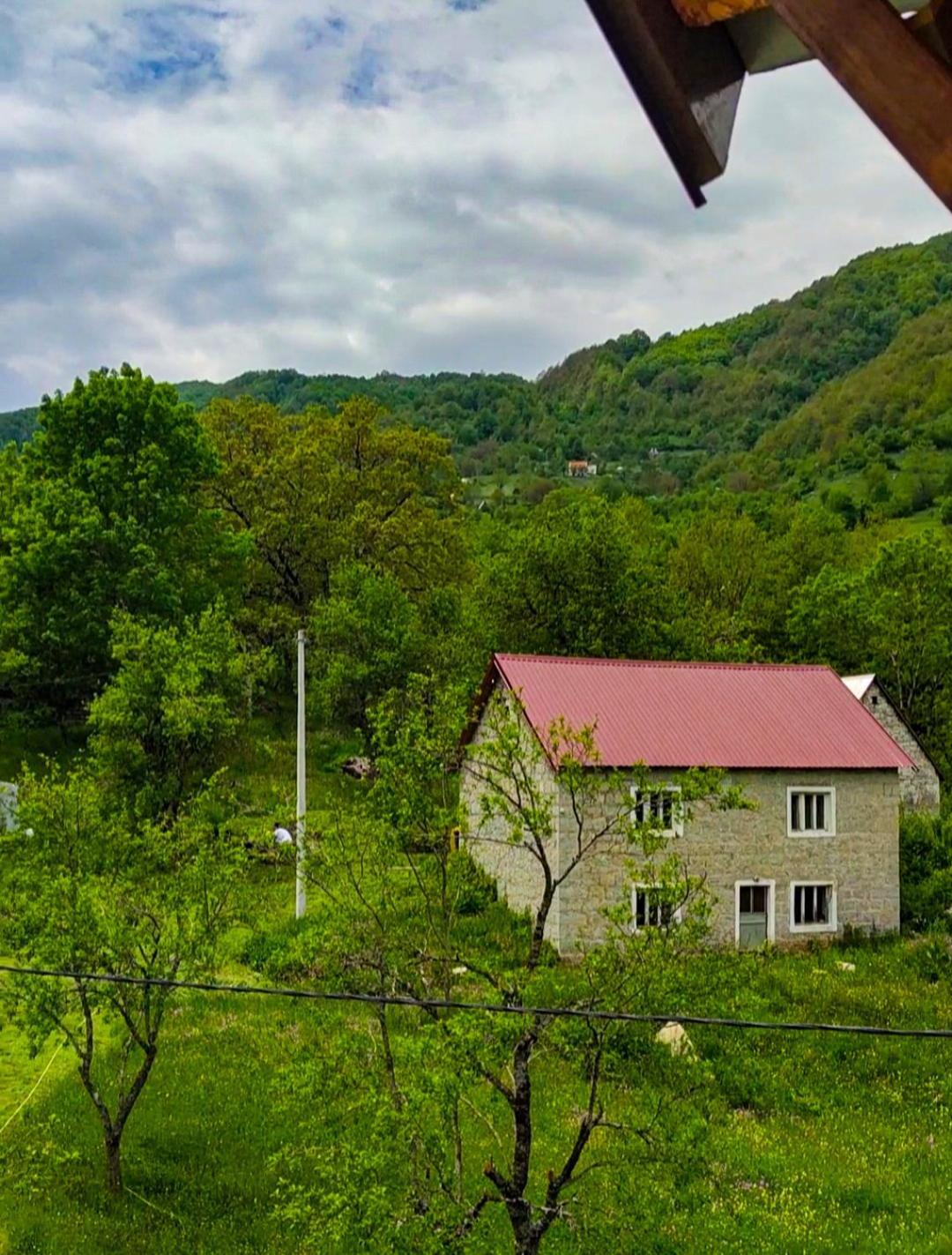 Etno Domacinstvo Dvozak Aparthotel Pluzine Exterior photo